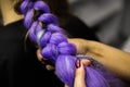 Girl in the beauty salon is weaved with braids. braided pigtails. Royalty Free Stock Photo