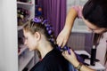 Girl in the beauty salon is weaved with braids. braided pigtails. Royalty Free Stock Photo