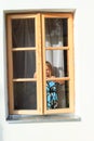 Girl behind the window Royalty Free Stock Photo