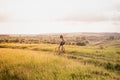 Girl with a bicycle posing on the hill in beautiful rural landscape at sunset. Young pretty female person with retro bike Royalty Free Stock Photo