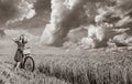 Girl with bicycle on wheat field. Royalty Free Stock Photo