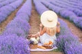 Girl in a big hat sits in a lavender field. A woman on a picnic. Photo from the back Royalty Free Stock Photo