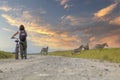 Girl on a bike next to Zebras in Naivasha in Hells Gate Park at sunset in Kenya