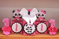 Girl birthday party decoration detail panda theme