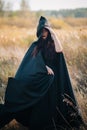 A girl in a black dress, a cloak with a hood stands in a high dry grass in the field against the background of the forest. Witch C