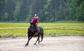 Girl with black pony