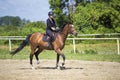 The girl in black rides a sorrel horse in nature