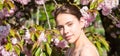 Girl in in blossoms cherry sakura. Outdoor portrait of beautiful sensual fashion girls posing near blooming tree with Royalty Free Stock Photo