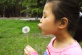 Girl blow Dandelion Royalty Free Stock Photo