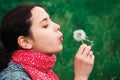 Girl blow on Dandelion Royalty Free Stock Photo