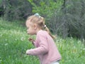 Girl blow dandelion Royalty Free Stock Photo