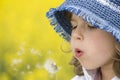 Girl blowing dandelion Royalty Free Stock Photo