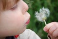 Girl Blowing Dandelion