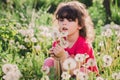 Little girl playing with dandelion flowers. Summer seasonal outdoor activities for children. Royalty Free Stock Photo