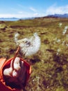 Girl blowing a dandelion and holding it with her hand