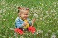 Girl blowing dandelion outdoors in spring field Royalty Free Stock Photo