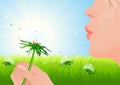 Girl blowing dandelion on summer field Royalty Free Stock Photo