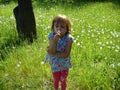 Girl blowing on white fluffy dandelion seeds. A child walks in the summer on a green lawn. The baby puffed out her cheeks, Royalty Free Stock Photo