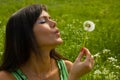 The girl blows on a dandelion