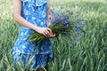 Girl in blue dress in her hands keeps bouquet of cornflowers in wheat field background