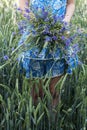 Girl in blue dress in her hands keeps bouquet of cornflowers in wheat field background