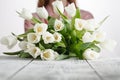 Girl with a bouquet of freshly bestowed tulips Royalty Free Stock Photo