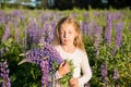 Girl with a bouquet in the hands.portrait of cute little happy seven year old kid girl with bloom flowers lupines in Royalty Free Stock Photo