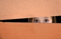 Girl in a box Royalty Free Stock Photo