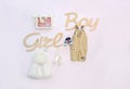 Girl or Boy.Baby shower party Royalty Free Stock Photo