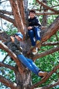 Girl and boy playing outdoor, climbing a tree, bright sunlight, beautiful day