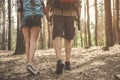 Girl and boy are walking in forest Royalty Free Stock Photo