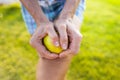 The girl breaks the apple into two parts. Royalty Free Stock Photo