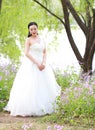 Girl bride in wedding dress with elegant hairstyle, with white wedding dress Standingin the grass by the river Royalty Free Stock Photo