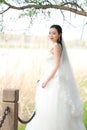 Girl bride in wedding dress with elegant hairstyle, with white wedding dress Standingin the grass by the river Royalty Free Stock Photo