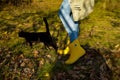 A girl in bright yellow boots walks with her beloved black cat Royalty Free Stock Photo