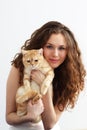 Girl and British cat Royalty Free Stock Photo