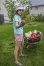 Girl brought vegetables on a wheelbarrow from garden on summer day