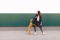 girl and brown dog against a background of colored walls. A girl plays with a puppy while walking