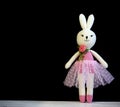 The girl bunny stands.The girl bunny stands. This is a knitted toy theme