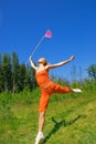 Girl with a butterfly net Royalty Free Stock Photo