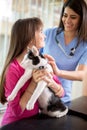 Girl calm down her sick cat in veterinary clinic