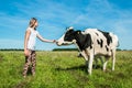 Girl is care a cow in a field