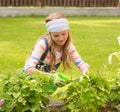 Girl cares for the plants in the garden