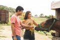 Girl Caressing the Brown Horse in a Stable. Two Friends in a Ranch Royalty Free Stock Photo