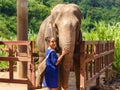 Girl caresss an elephant at sanctuary in Chiang Mai Thailand Royalty Free Stock Photo