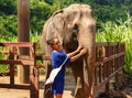 Girl caresss an elephant at sanctuary in Chiang Mai Thailand