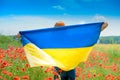 Girl carries fluttering blue and yellow flag of Ukraine in field Royalty Free Stock Photo