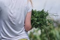 girl carries a handful of grass. concept of harmony with nature