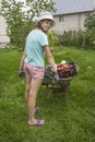 Girl carries vegetables on a wheelbarrow from garden