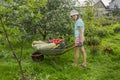 Girl carries vegetables on a wheelbarrow from garden a summer